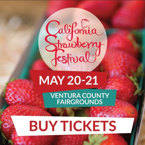 California Strawberry Festival Air1 Worship Music