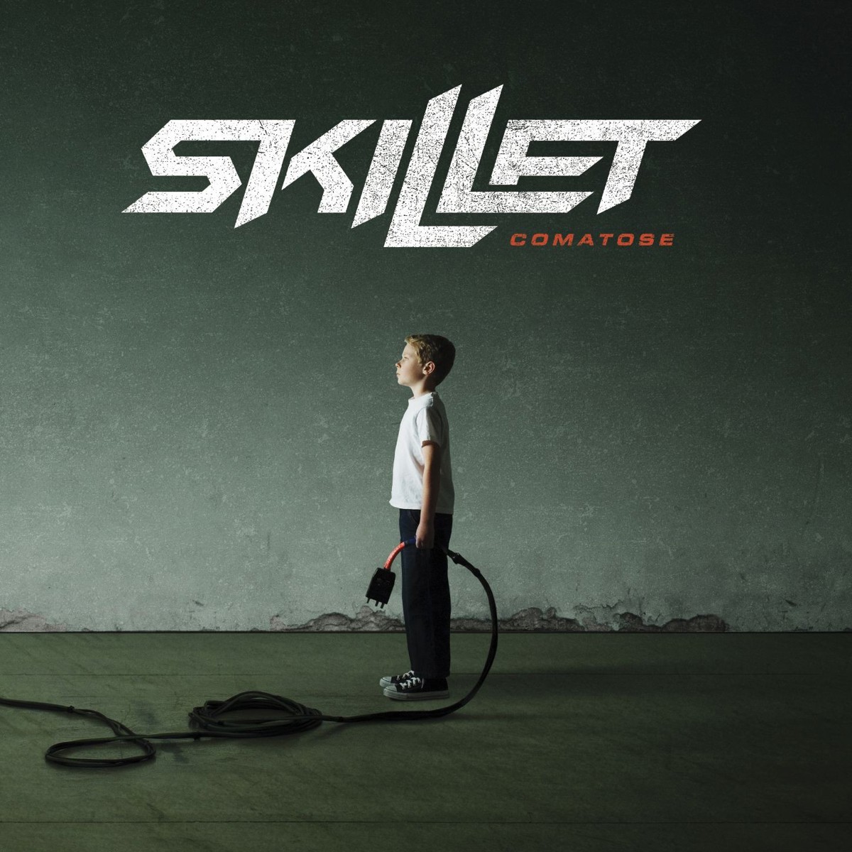 Skillet the last night