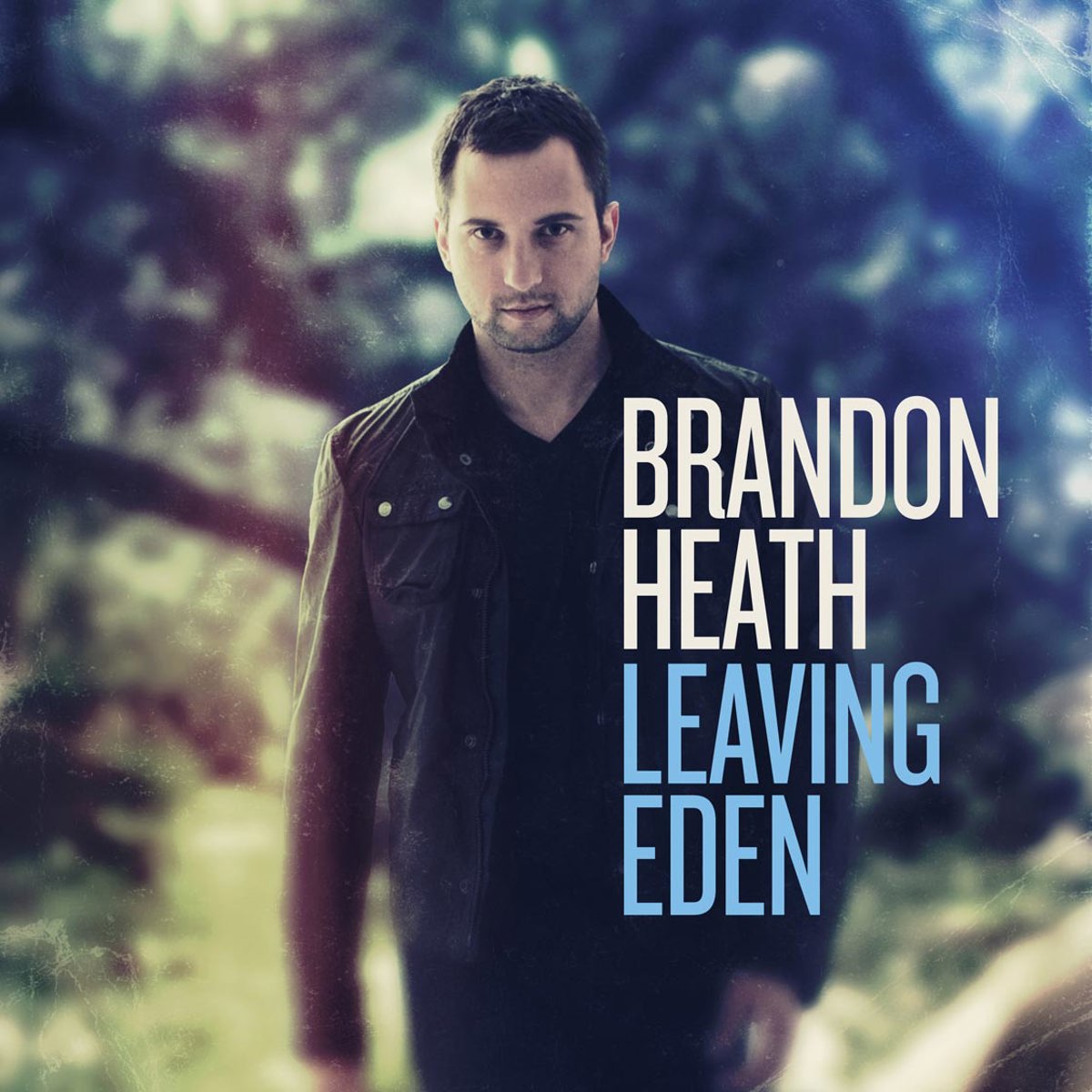 the light in me brandon heath