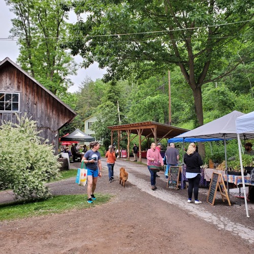 Forks Farm Farmers Market Positive Encouraging KLOVE